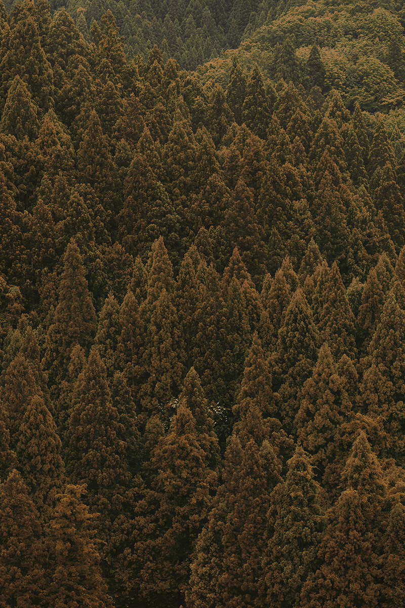 DOORS MEN 2020 A/W LOOK