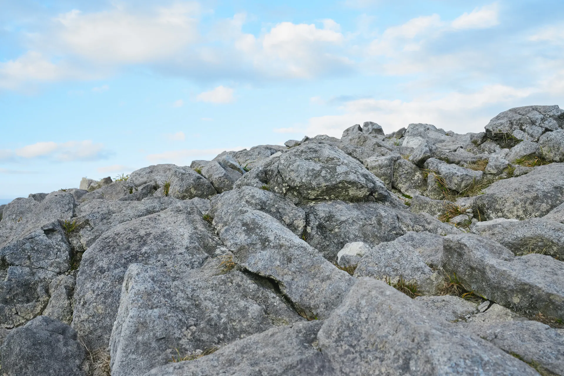 High Performance Line 2026 S/S LOOK