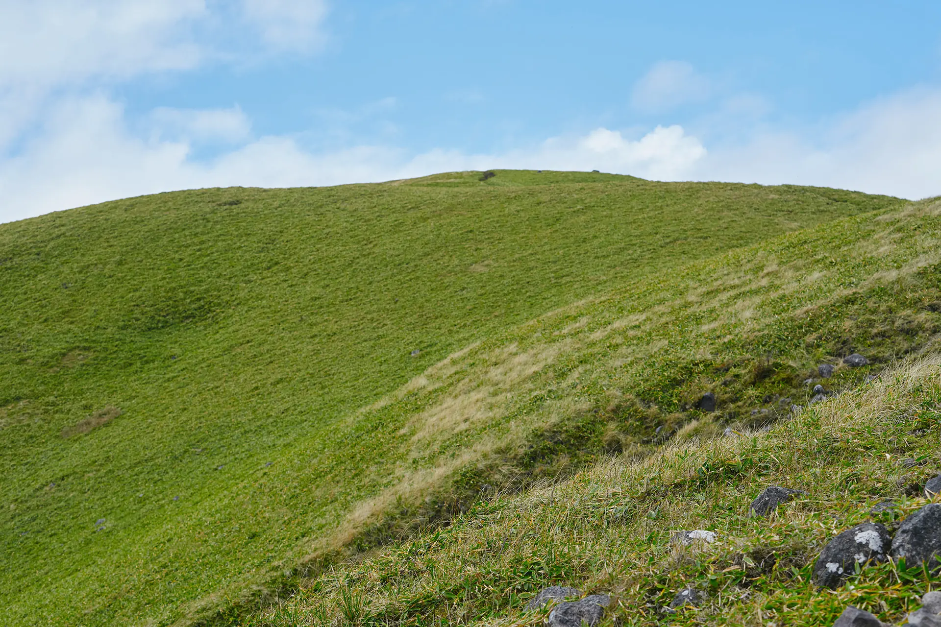 High Performance Line 2026 S/S LOOK