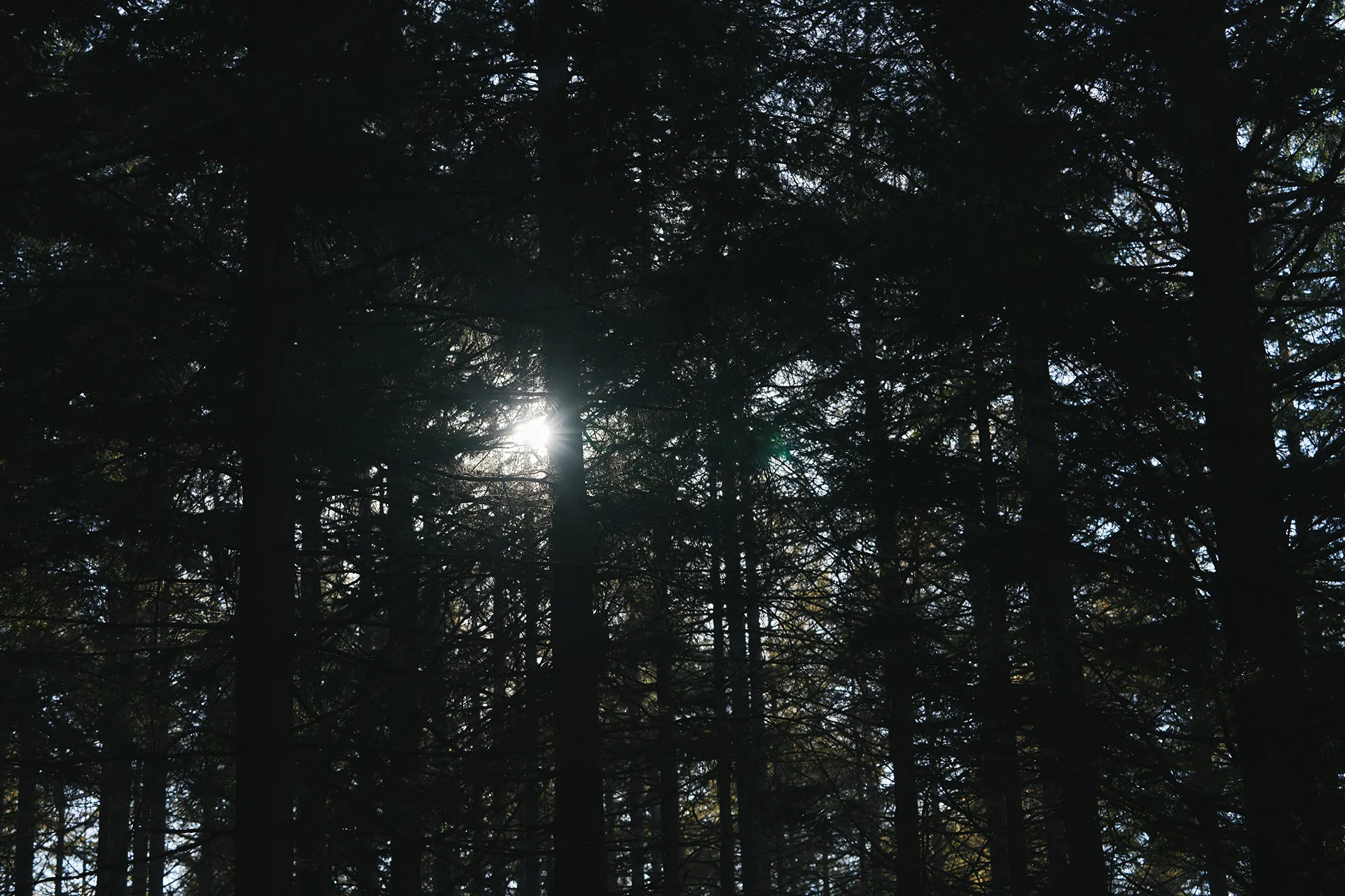 High Performance Line 2026 S/S LOOK