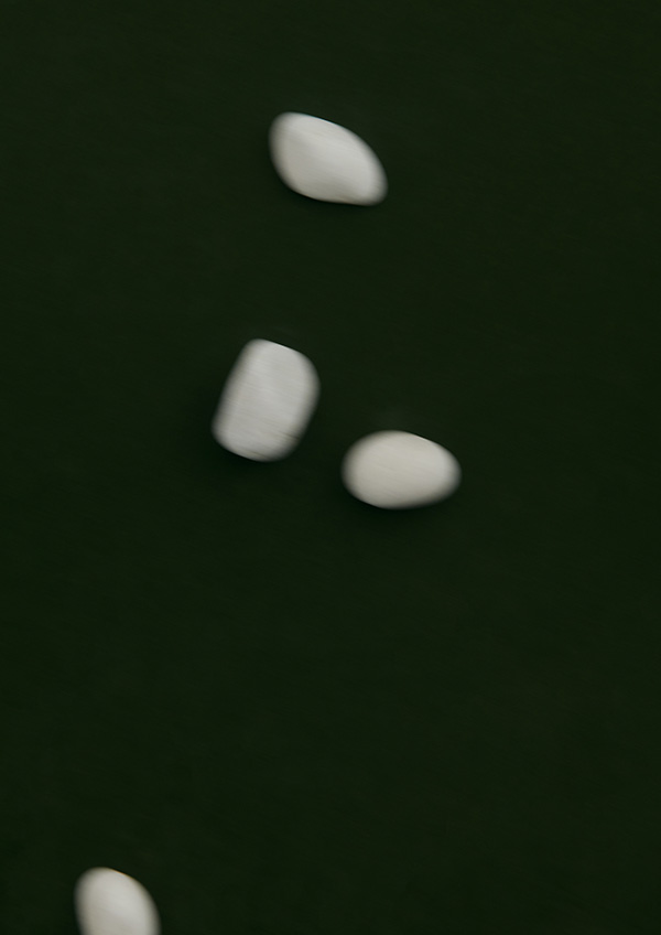 SMELLY 2021 S/S LOOK