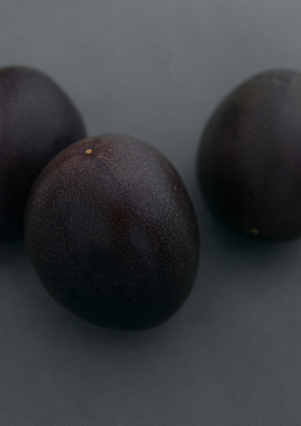 SMELLY 2021 S/S LOOK