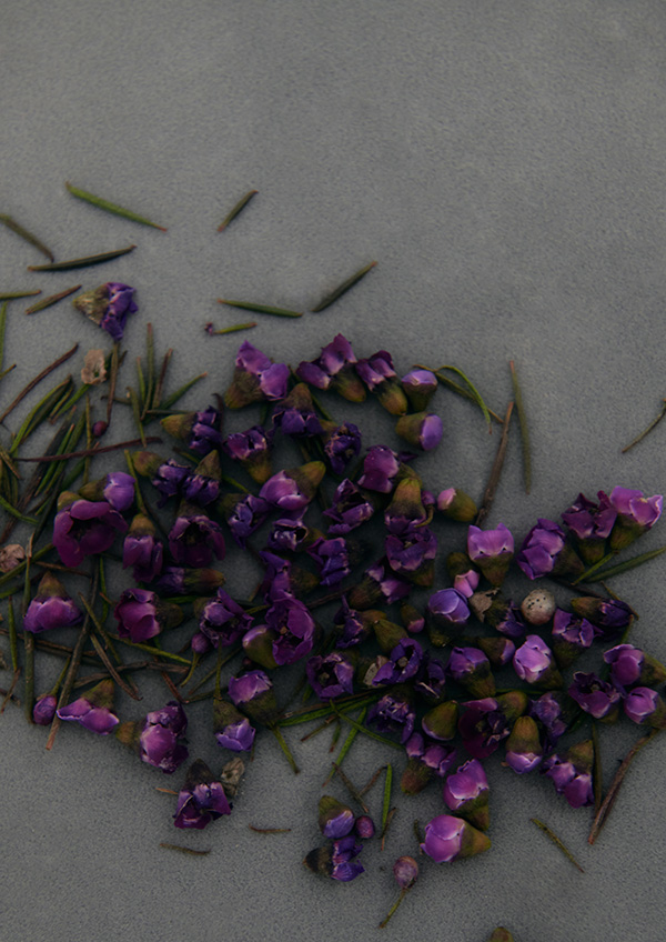 SMELLY 2021 S/S LOOK