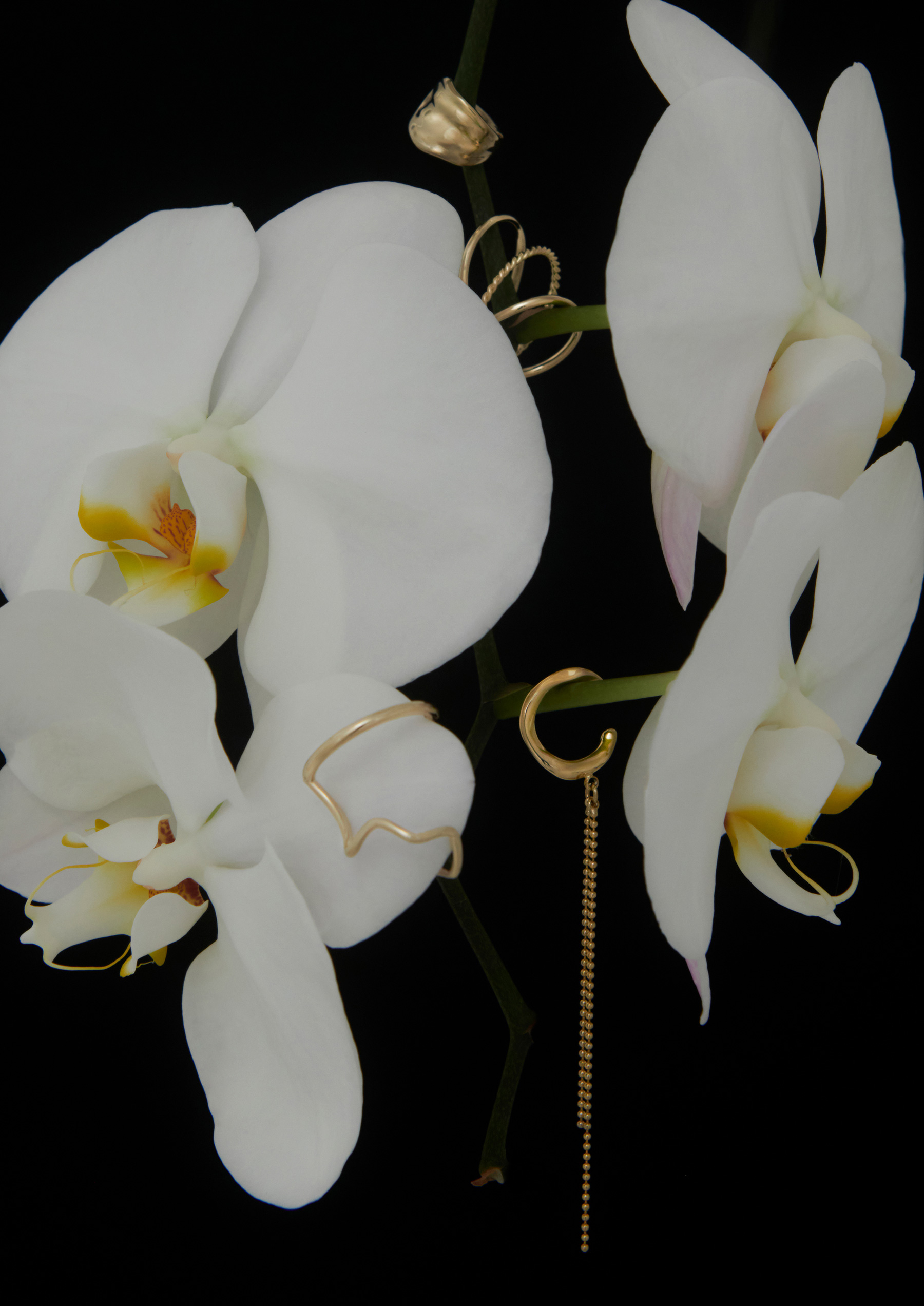 SMELLY 2021 A/W LOOK