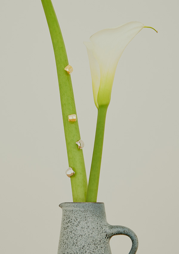 SMELLY 2021 S/S LOOK