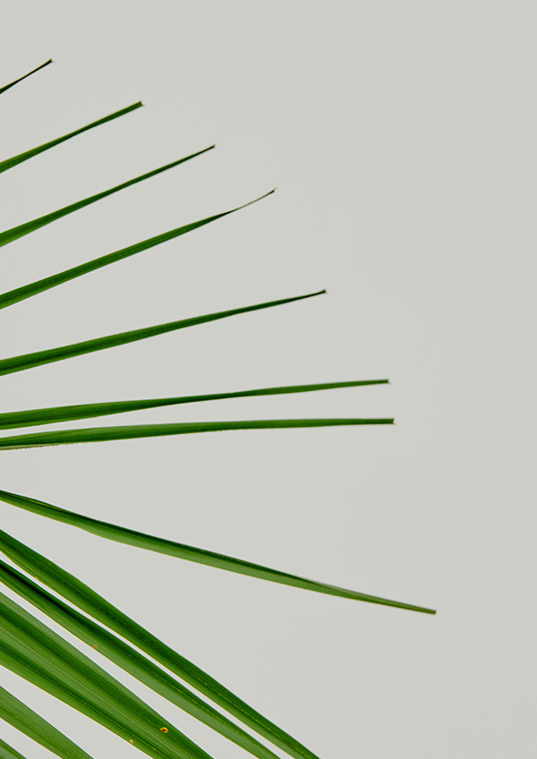 SMELLY 2021 S/S LOOK