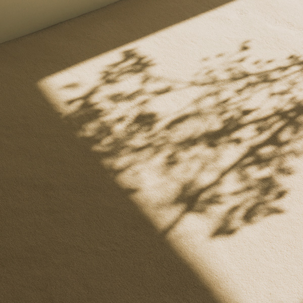 SMELLY 2023 S/S LOOK