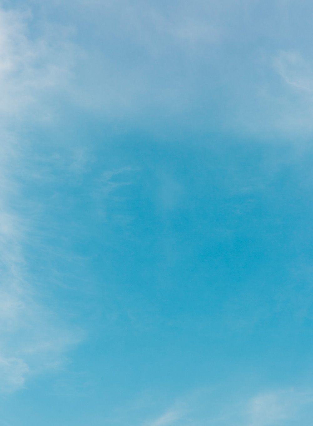 SMELLY 2023 S/S LOOK