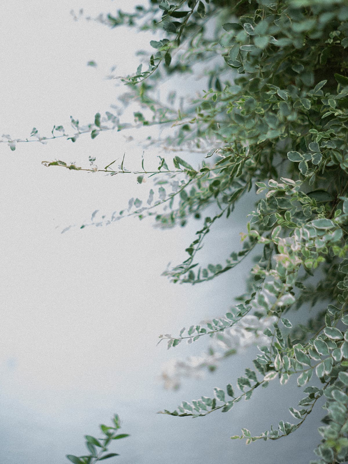 Sonny Label 2024 WINTER LOOK