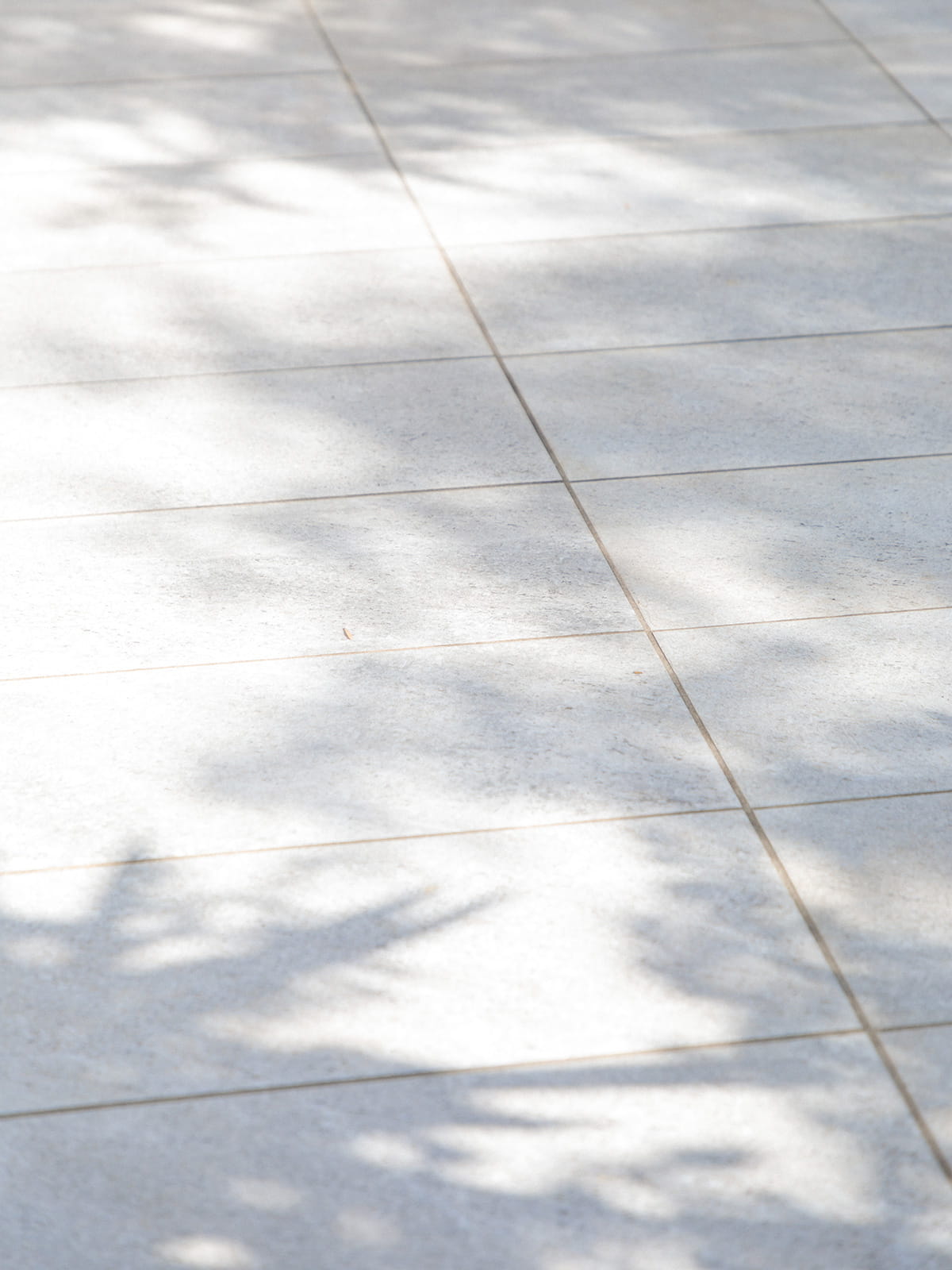 Sonny Label 2024 SPRING SUMMER LOOK