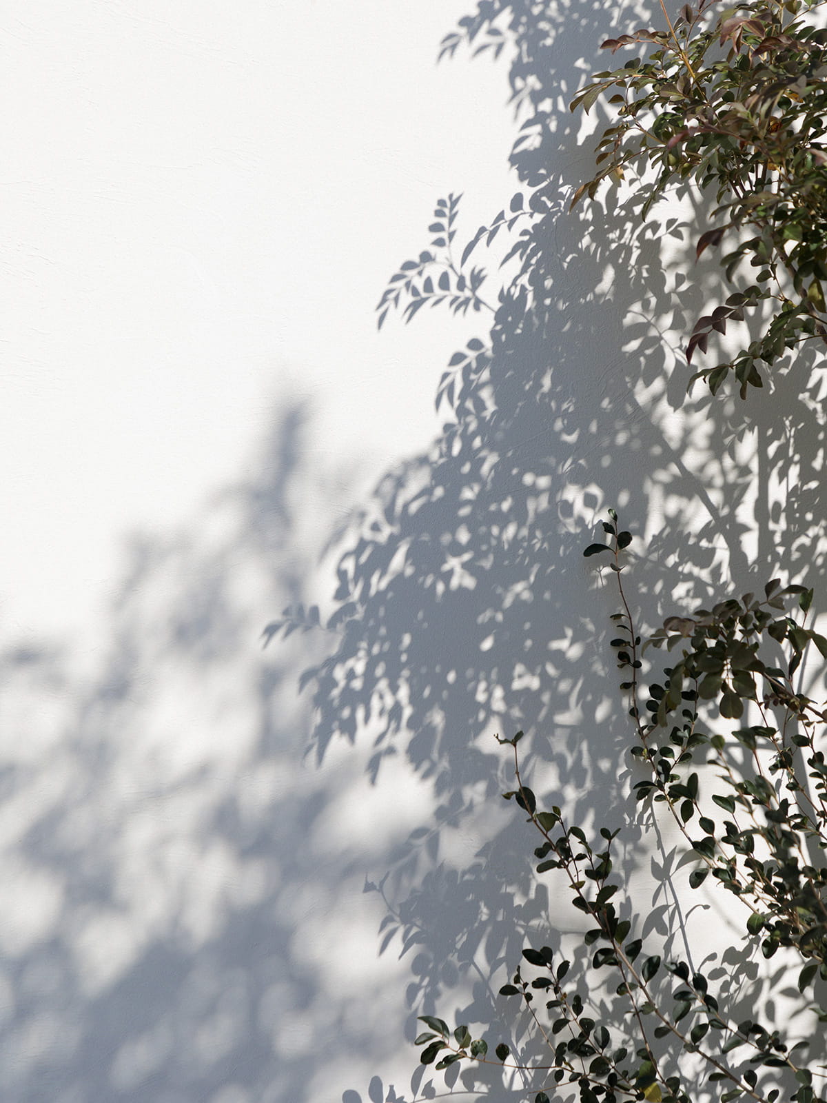 Sonny Label 2024 SPRING SUMMER LOOK