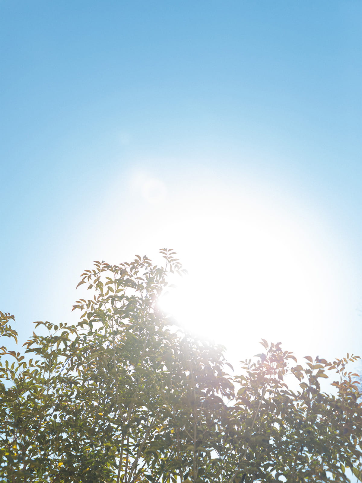 Sonny Label 2024 SPRING SUMMER LOOK