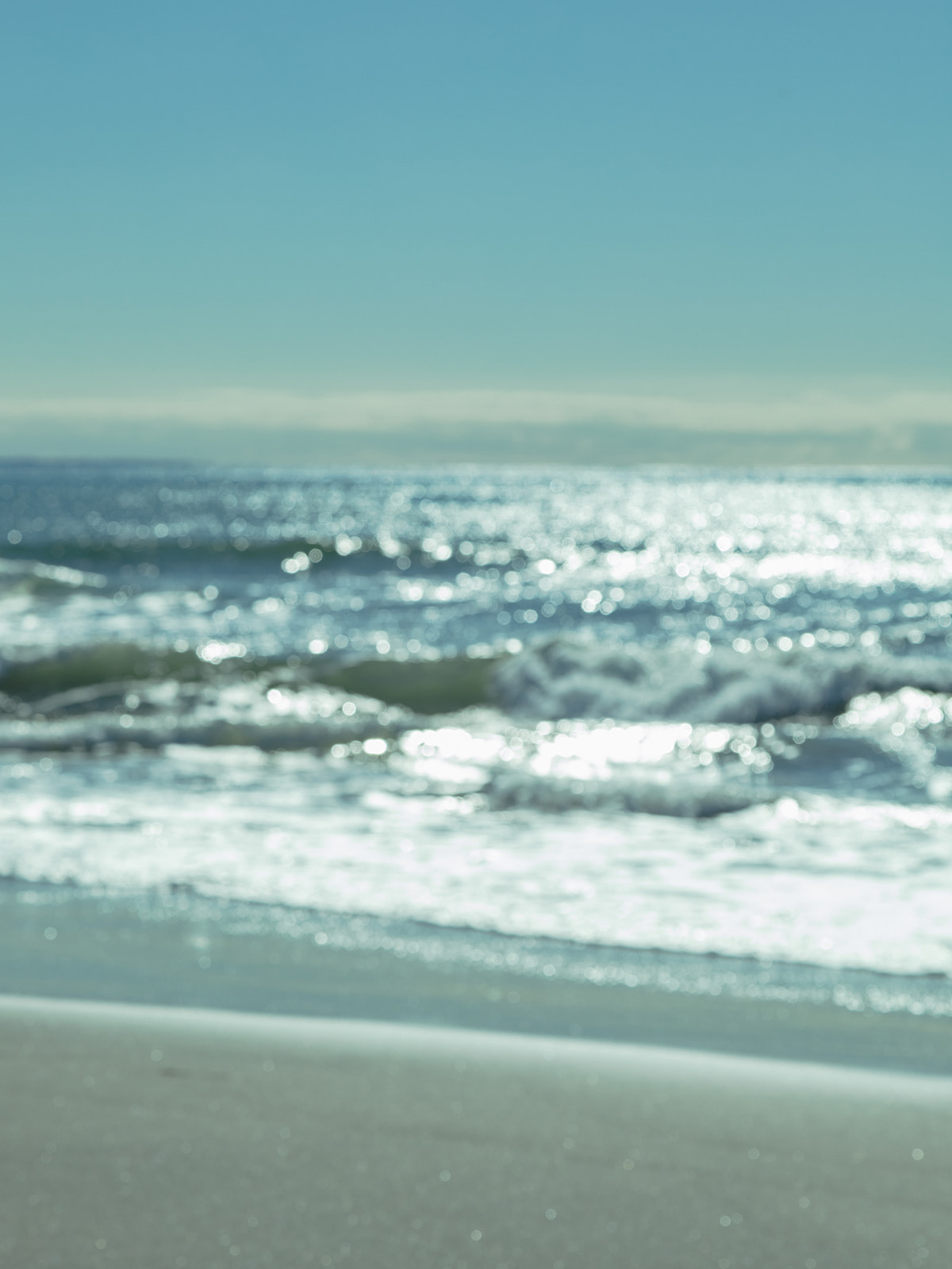 Sonny Label 2025 SPRING LOOK