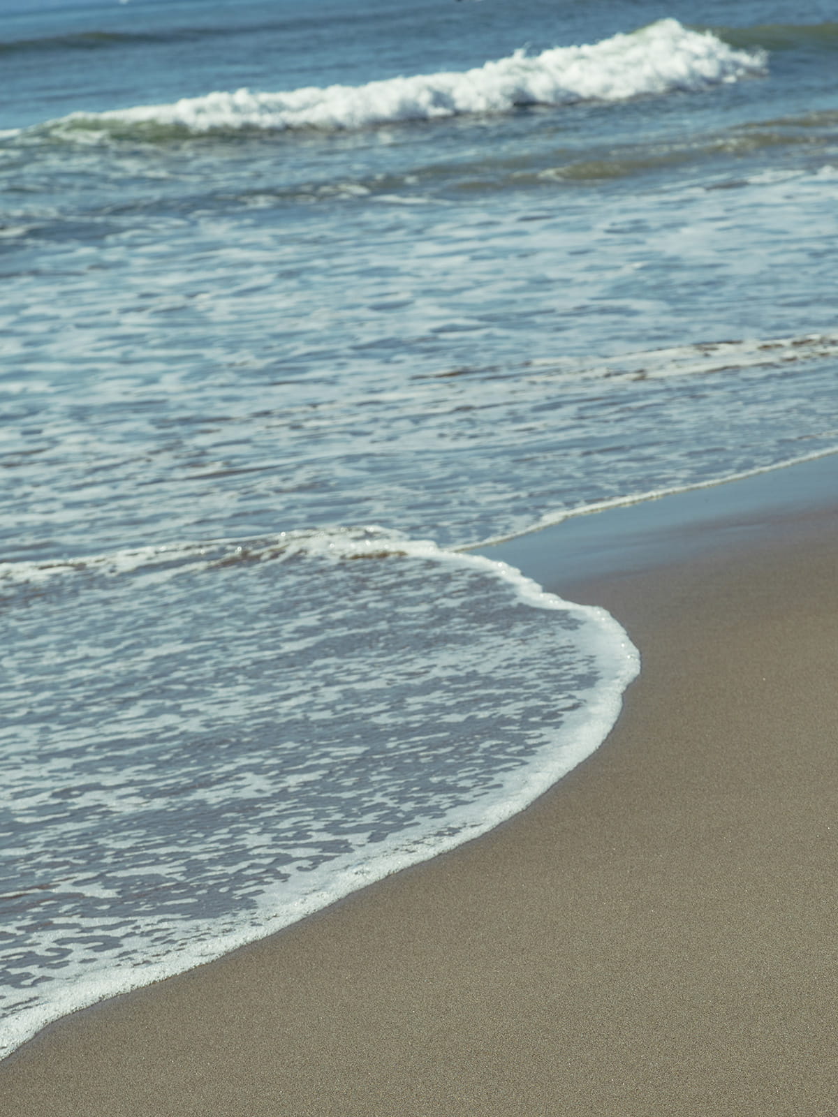 Sonny Label 2025 SPRING LOOK