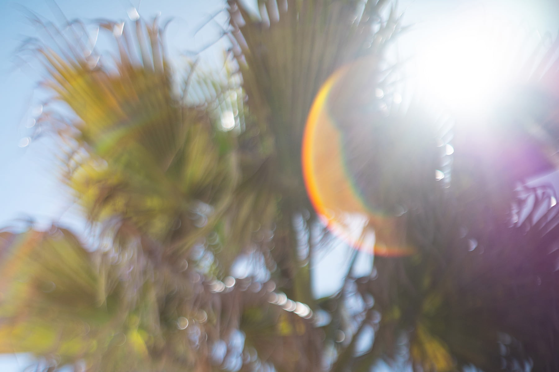 Sonny Label 2025 SUMMER LOOK