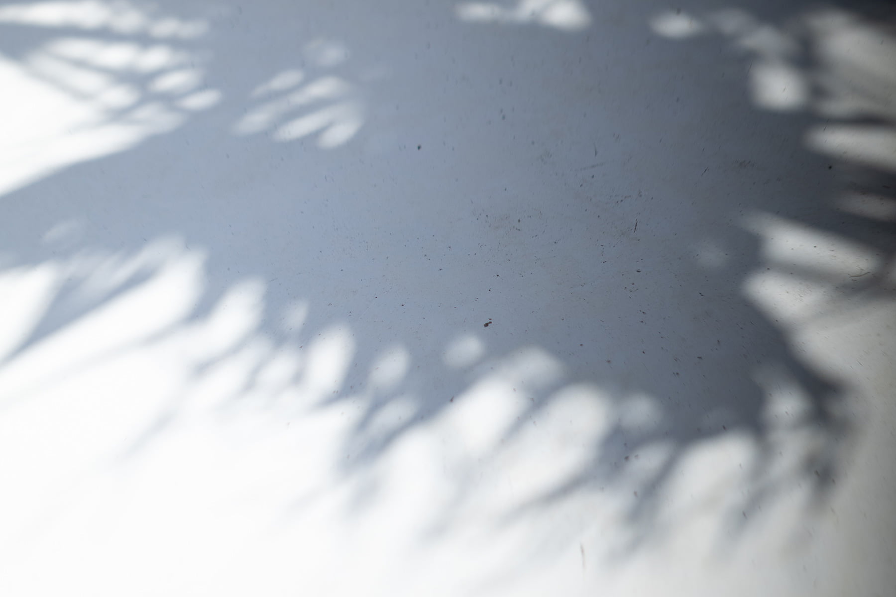 Sonny Label 2025 SUMMER LOOK