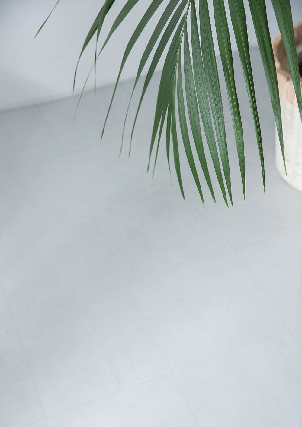 SOP 2021 SUMMER LOOK