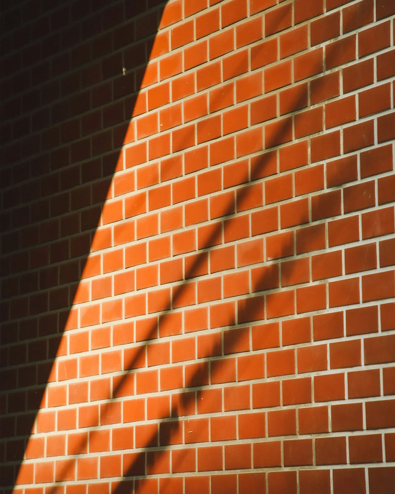 SENSE OF PLACE 2026 SPRING LOOK