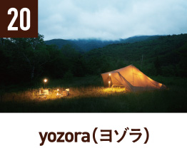 20