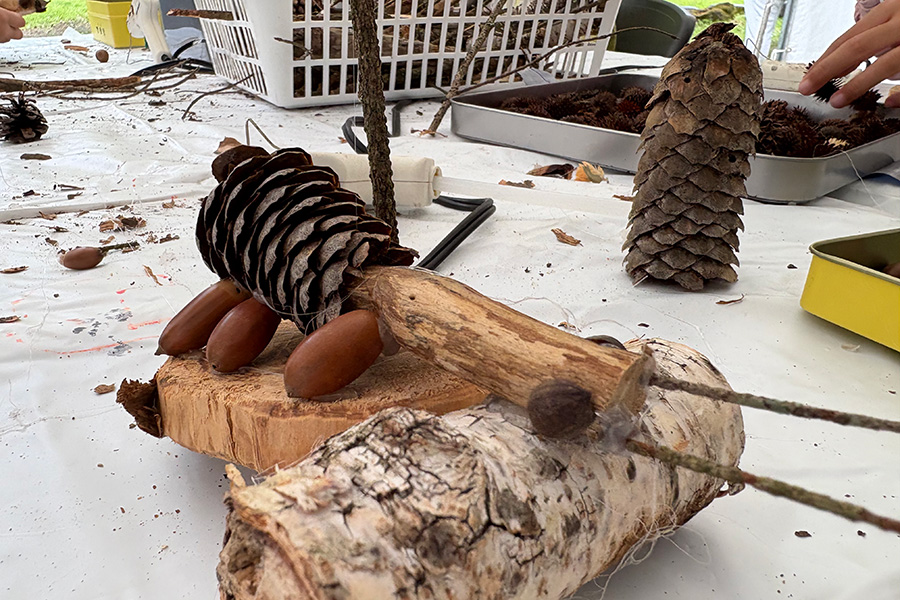 しまなみアースランド 枝で生き物作り