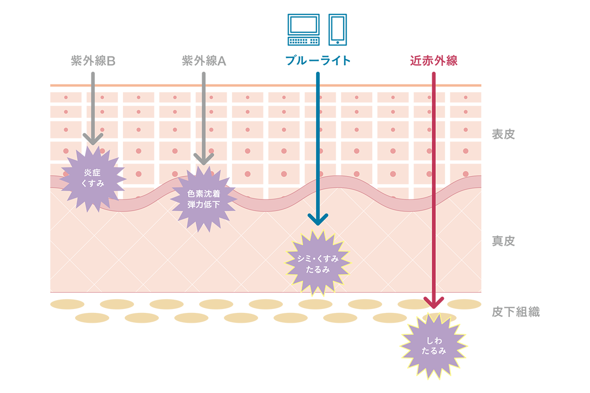 肌図